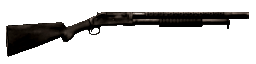 Shotgun Shotgun